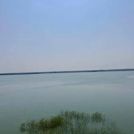 Romantic Solid Lamera